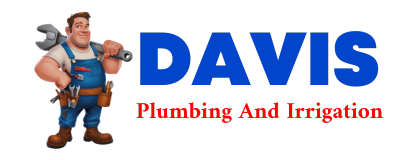 Trusted plumber in DEVERS